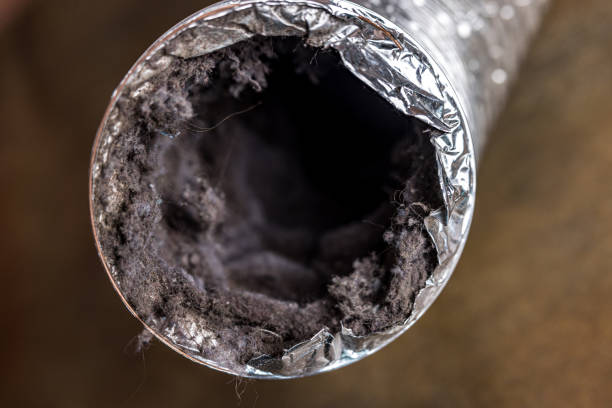 Best Professional Duct Cleaning Services  in Bronson, FL
